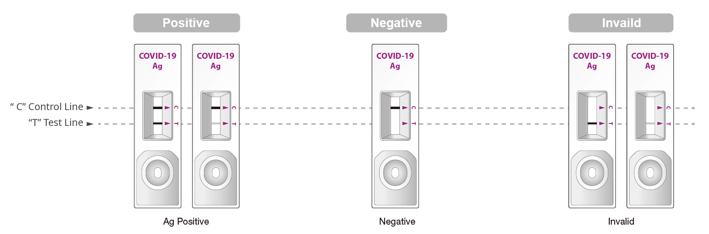 Расшифровка 19. Covid 19 AG экспресс тест результат. Тест Standard q Covid-19 AG. Интерпретация экспресс теста на Covid. Экспресс тест на ковид 19.